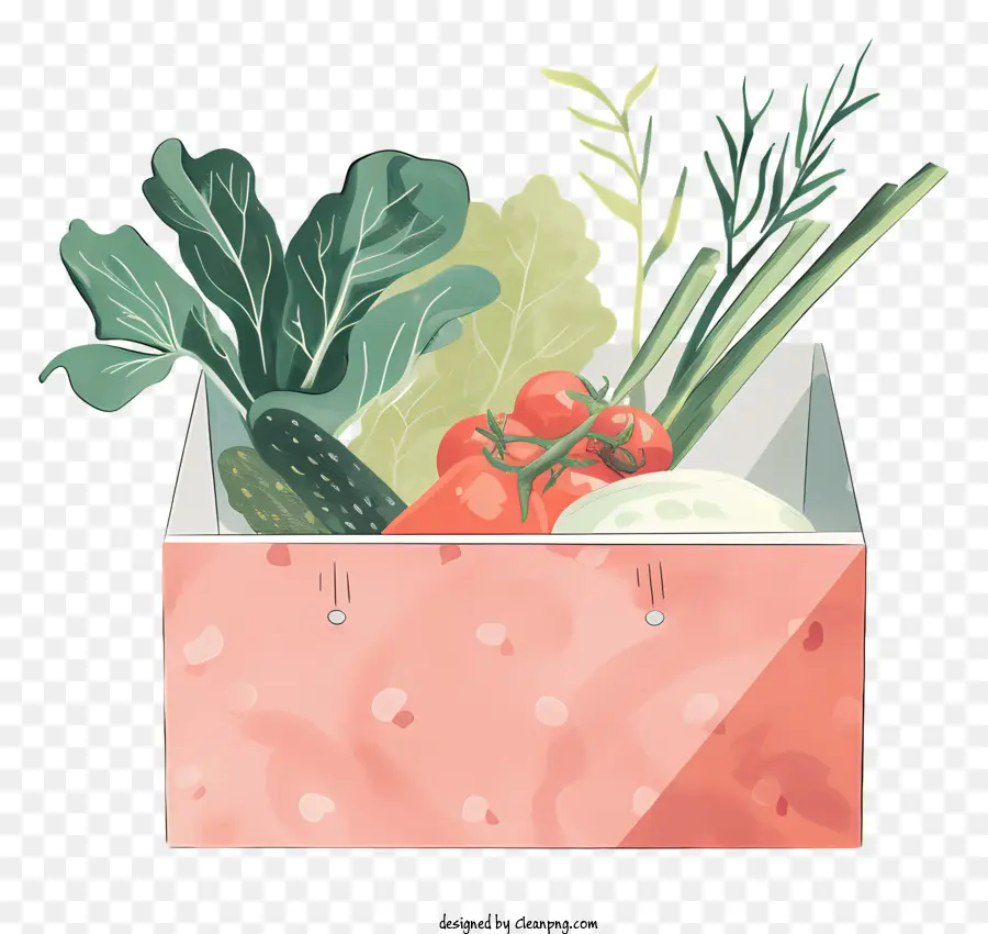 Caja Vegetal，Lechuga PNG