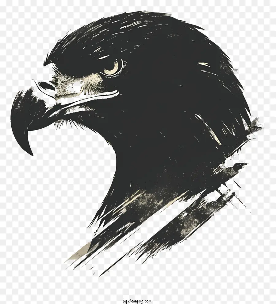 águila De Cabeza，águila PNG