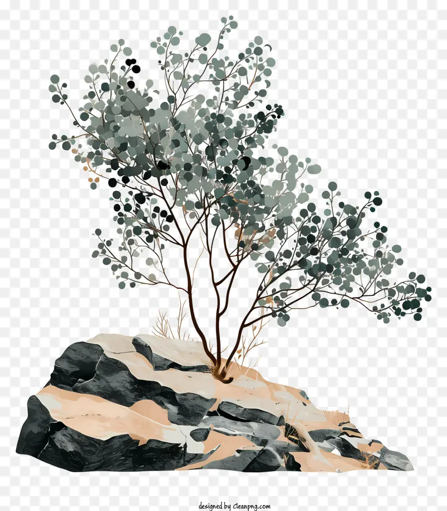 Árbol En La Roca，Naturaleza PNG