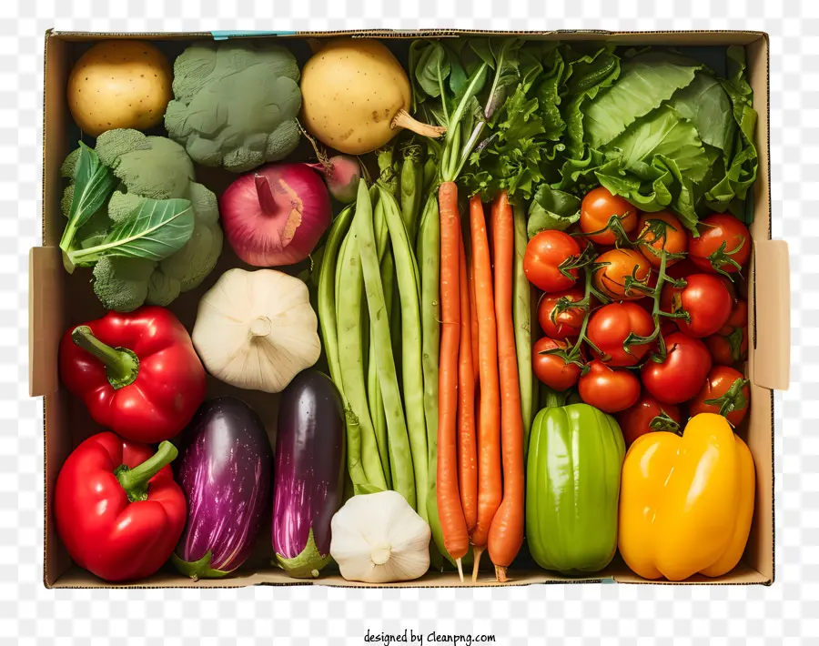 Caja Vegetal，Las Zanahorias PNG