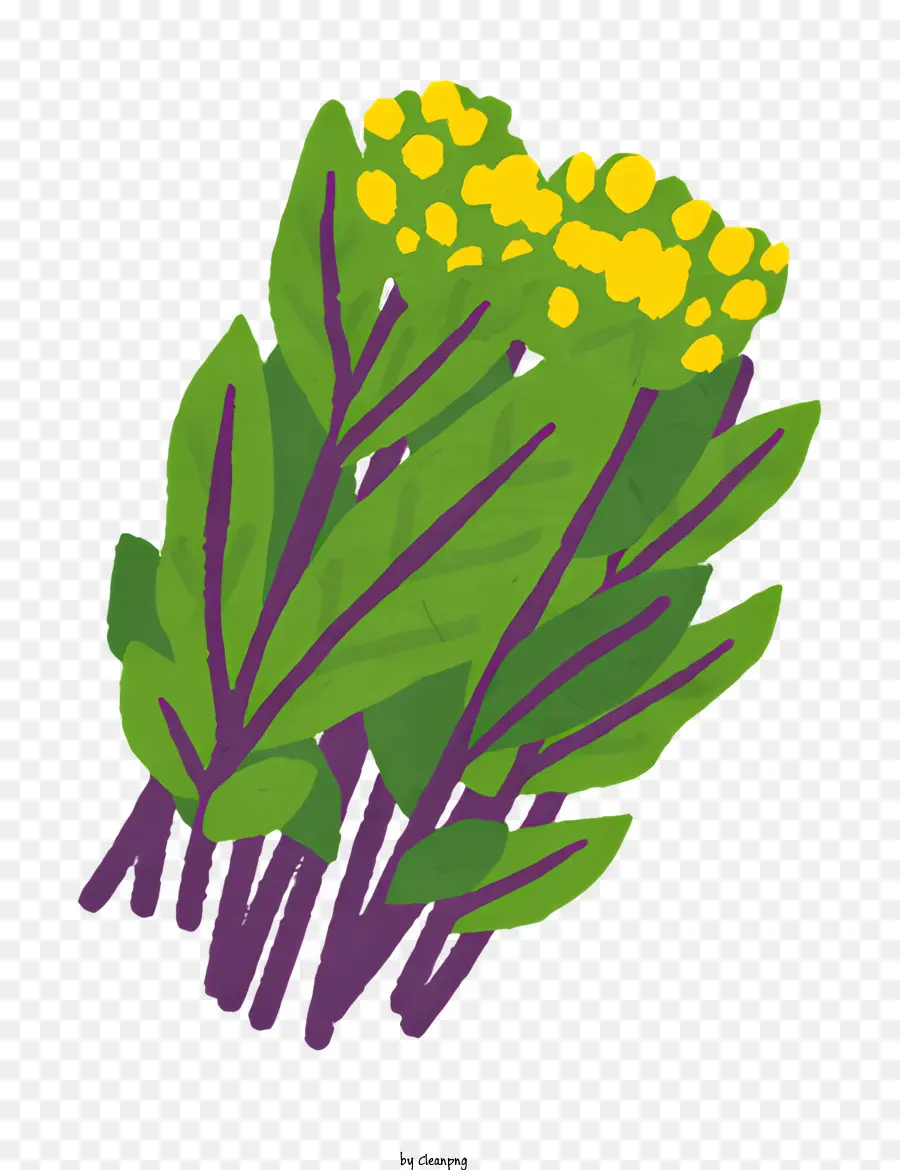 Vegetal，Hojas Verdes PNG