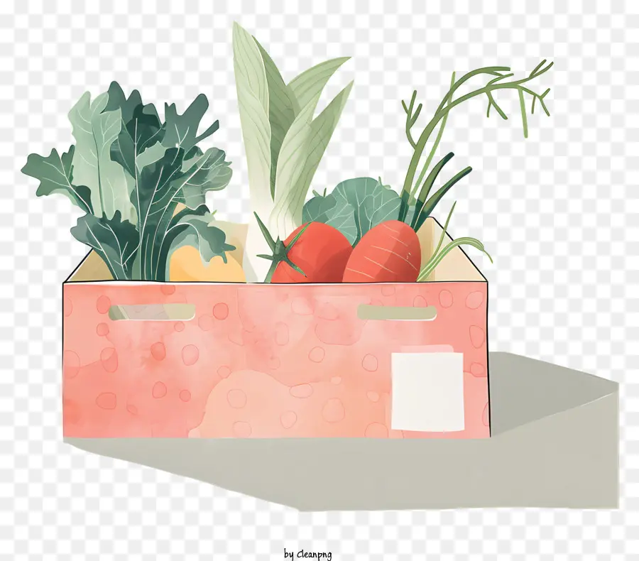 Caja Vegetal，Caja De Cartón PNG