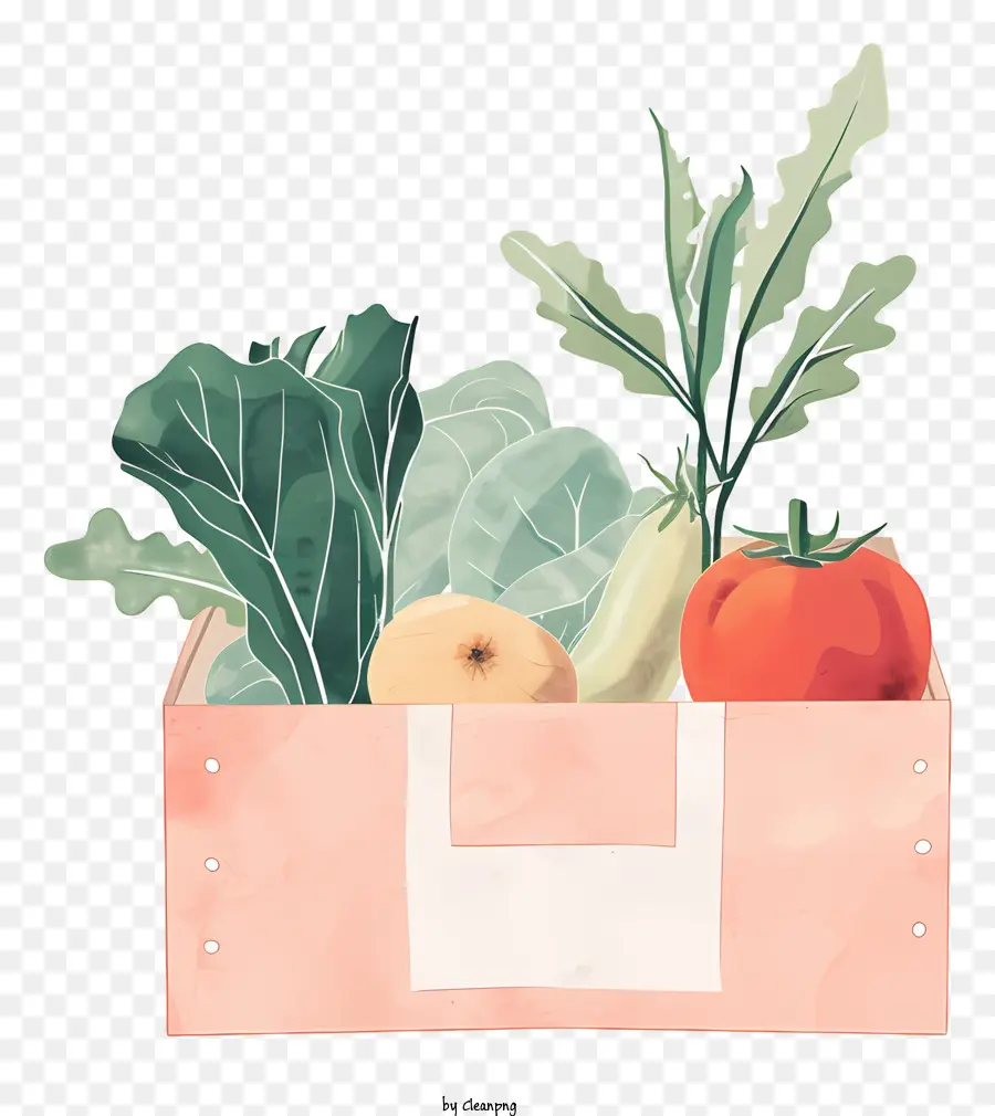 Caja Vegetal，Ilustración Acuarela PNG