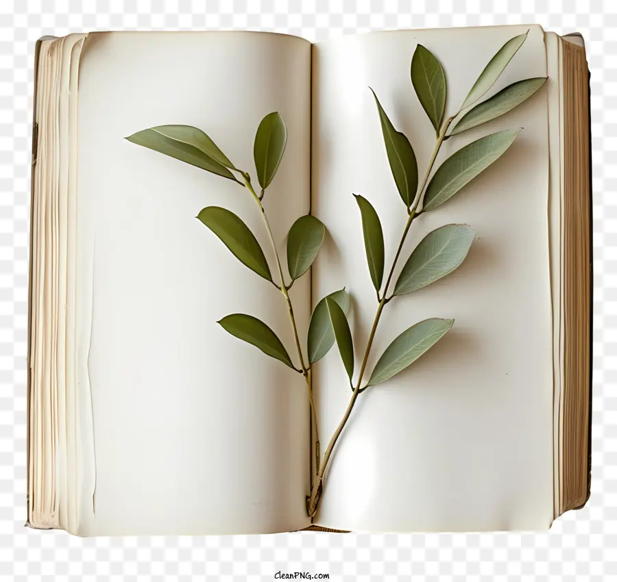 Libro Abierto，Libro Con Hojas PNG