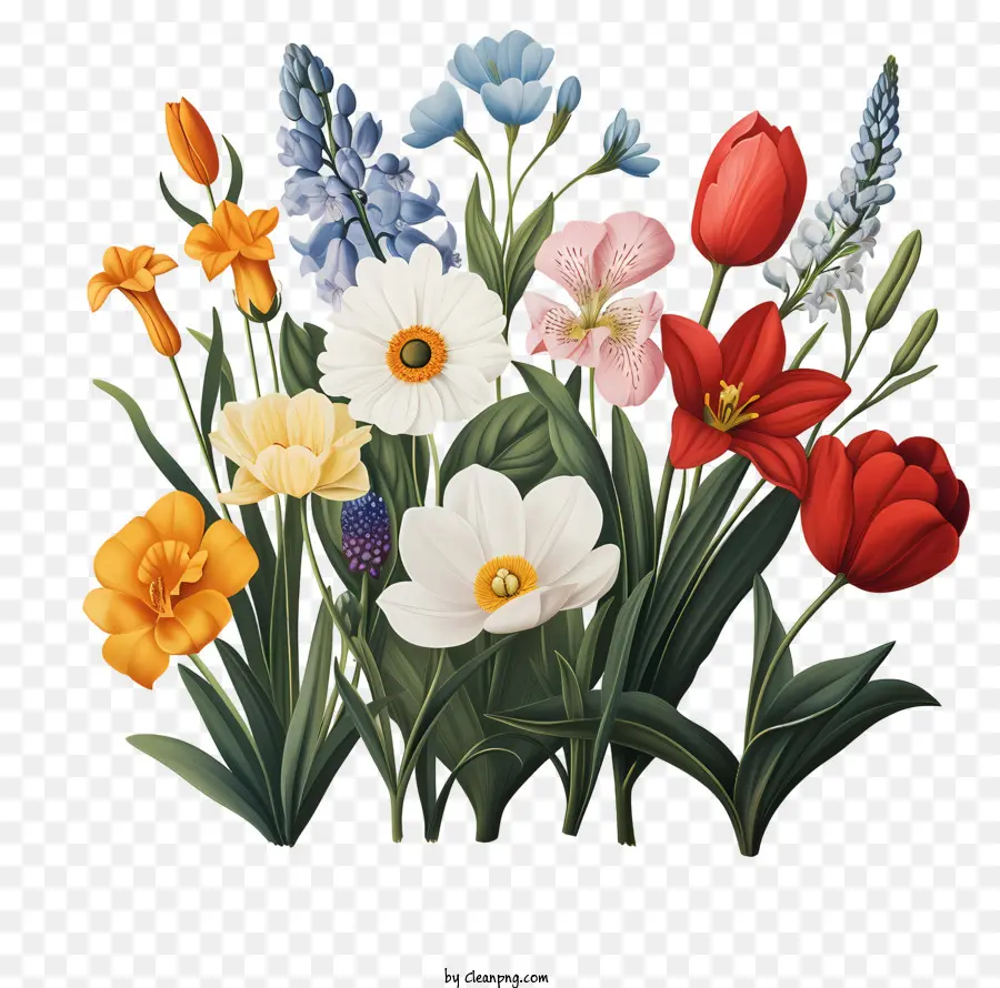 Las Flores De La Primavera，Los Tulipanes PNG