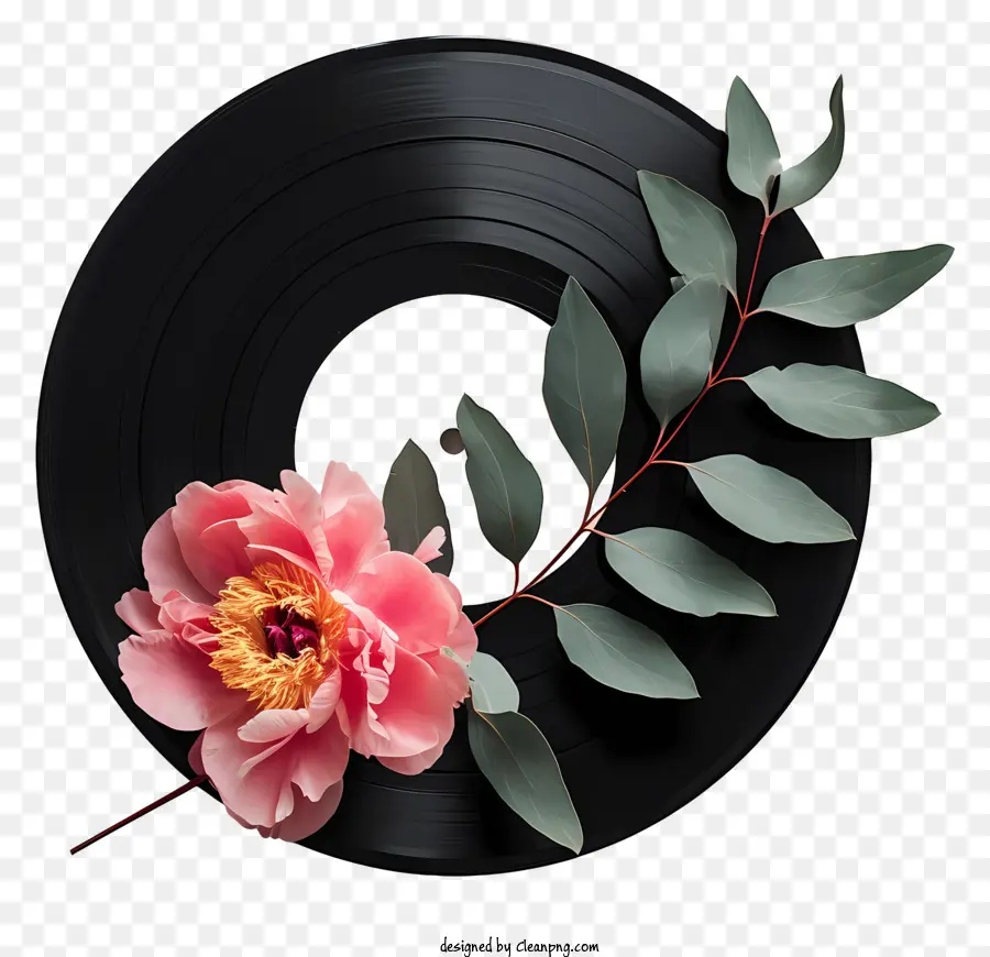 Disco De Vinilo，Peonía Rosa PNG