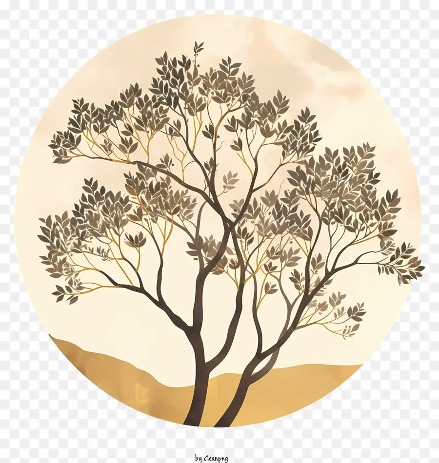 árbol，Árbol PNG