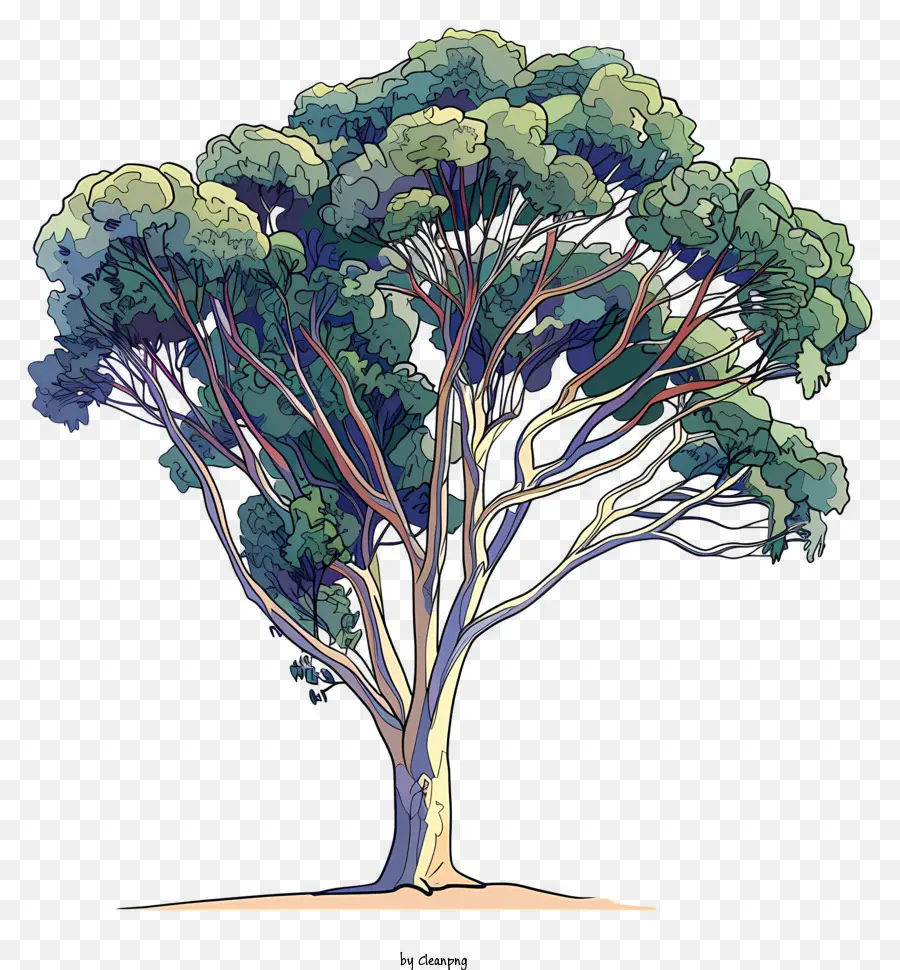 Árbol，Bosque PNG