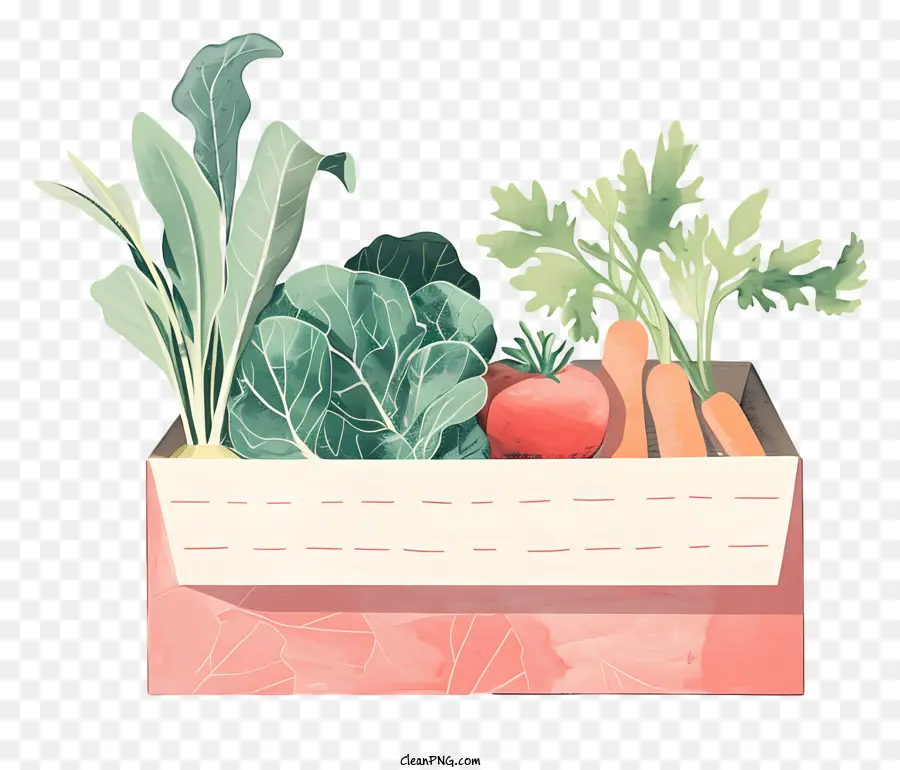 Caja Vegetal，Las Zanahorias PNG