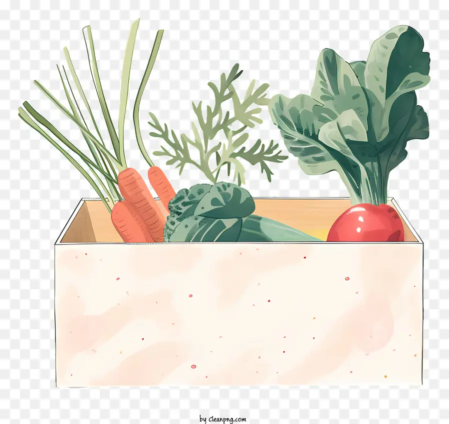 Caja De Verduras，Verduras PNG