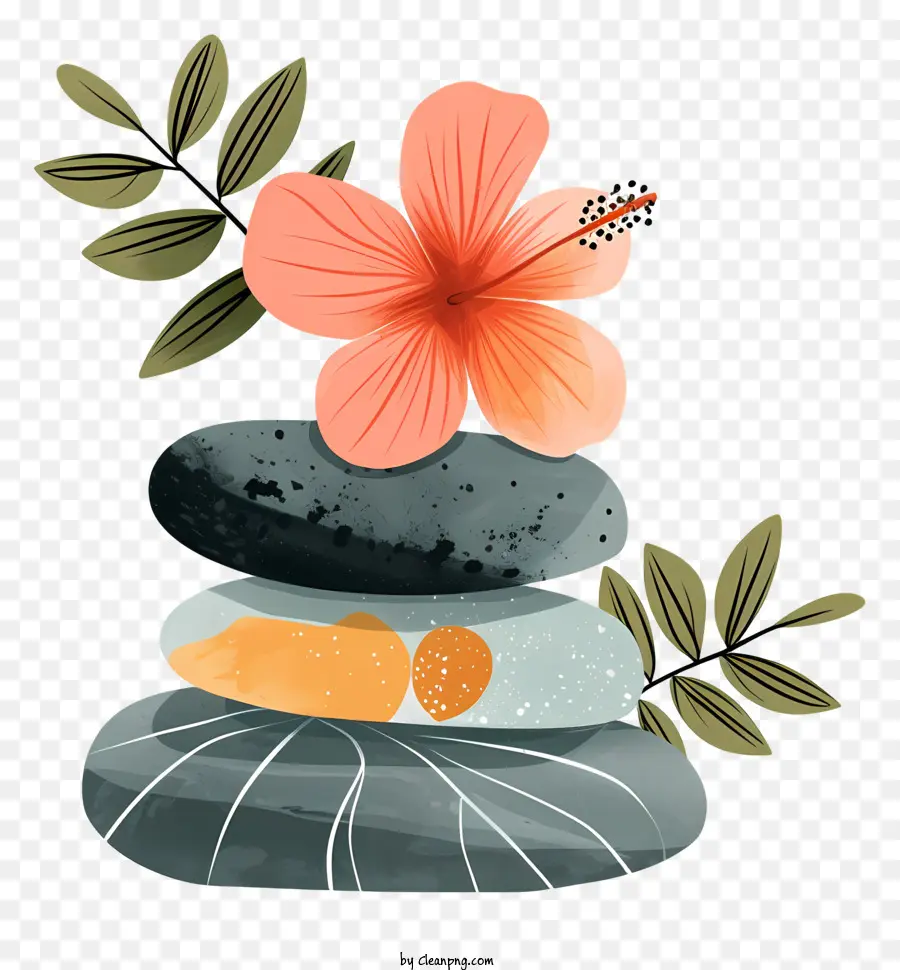 Piedras De Spa，Flor Y Piedras PNG