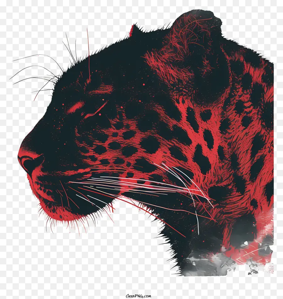 Leopardo，Los Ojos Rojos PNG