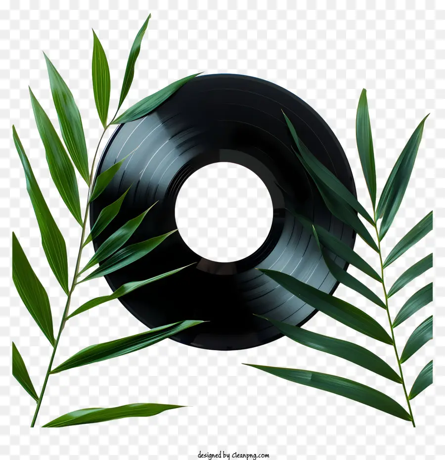 Disco De Vinilo，Jugar PNG