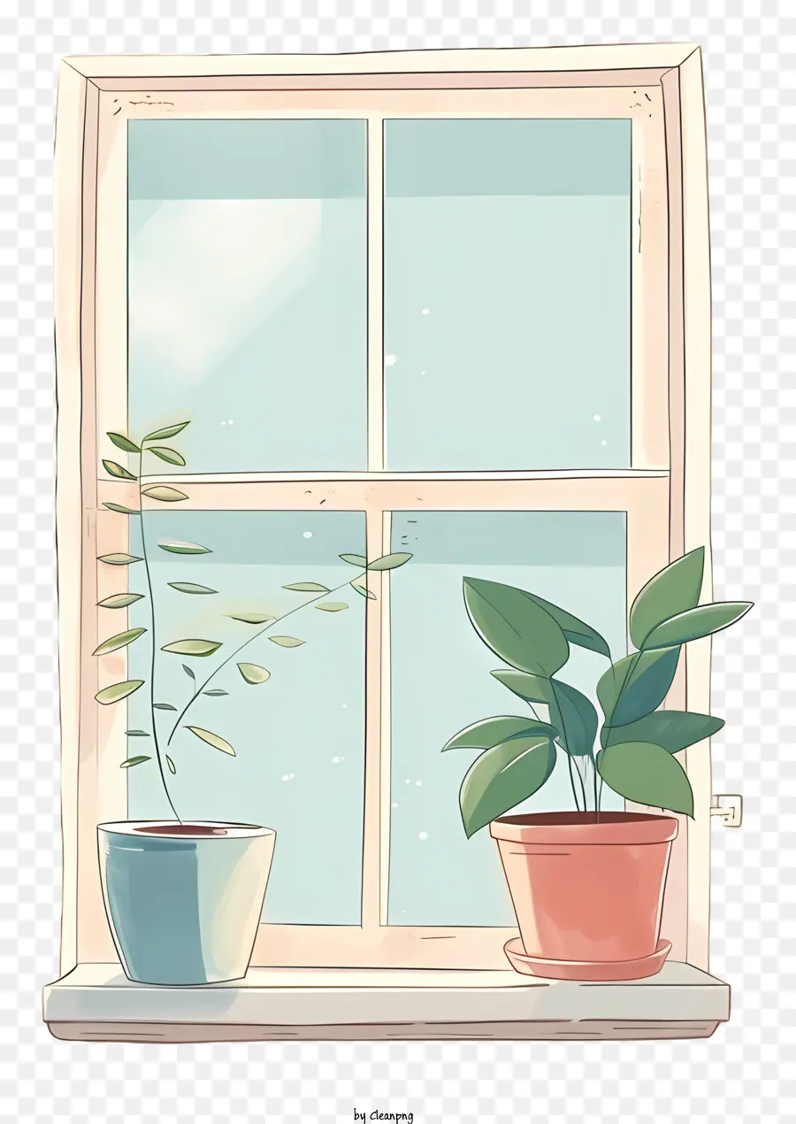 Ventana，Las Plantas En Maceta PNG