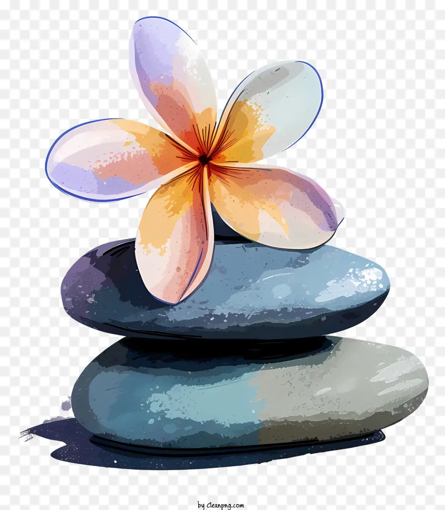 Piedras De Spa，Piedras Zen PNG