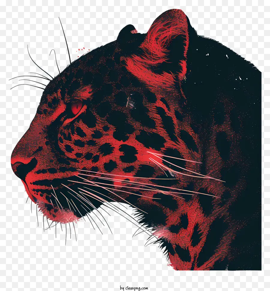 Leopardo，Ojos Negros PNG