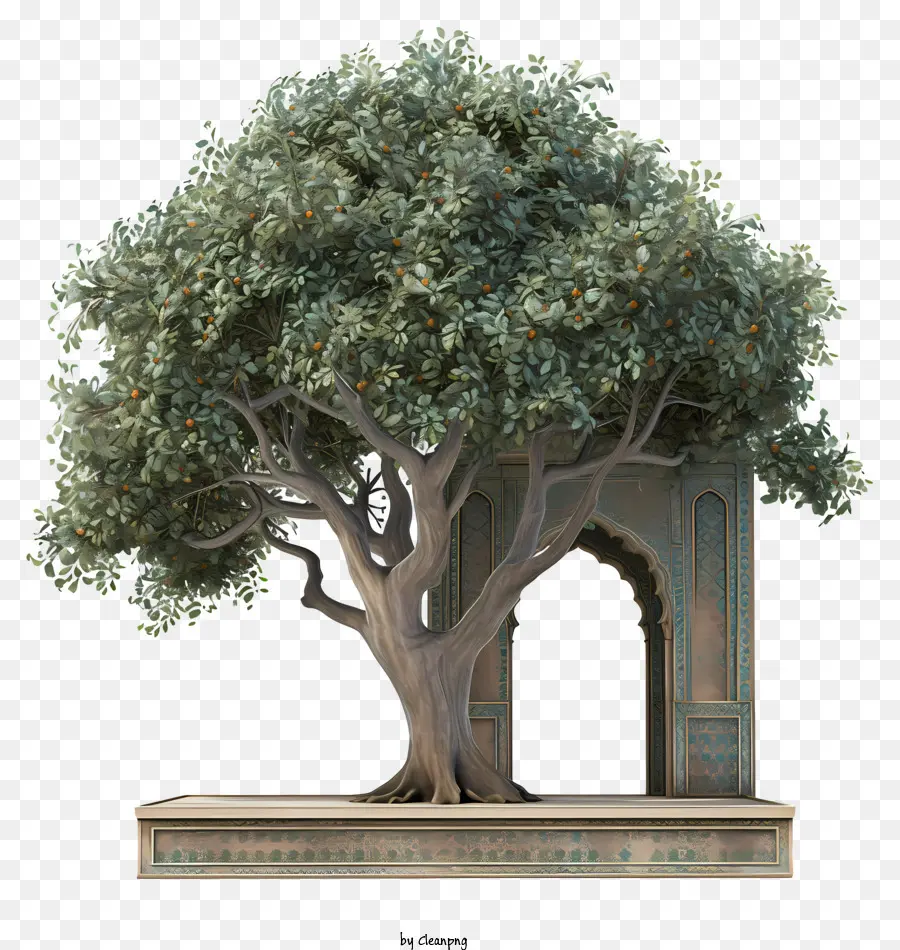 Arquitectura，Árbol PNG