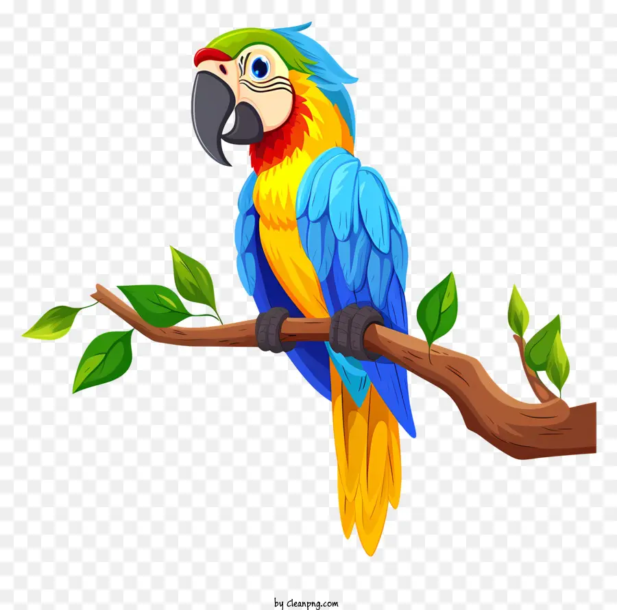 Guacamayo，Loro Azul PNG