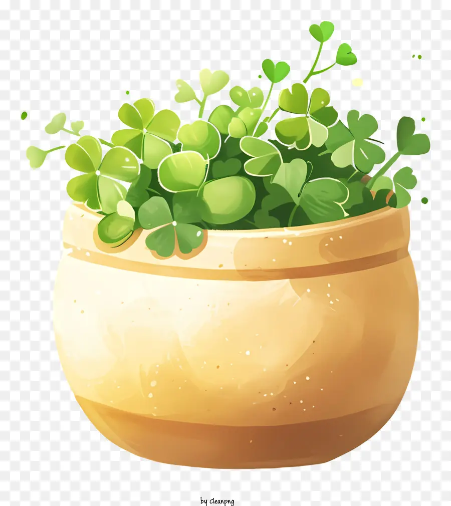 Olla，Planta En Maceta PNG