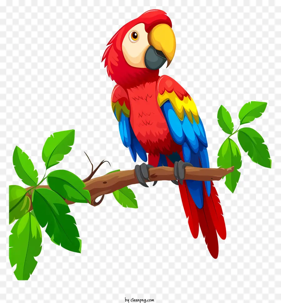 Guacamayo，Loro Colorido PNG