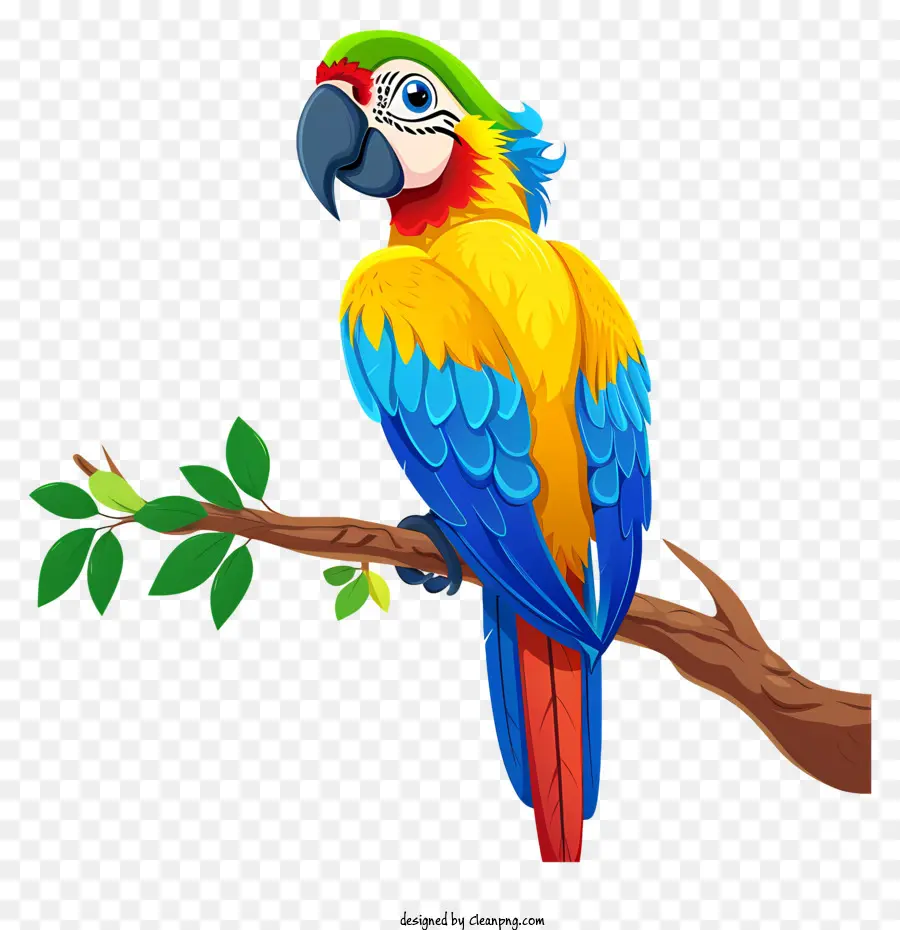 Guacamayo，Loro PNG