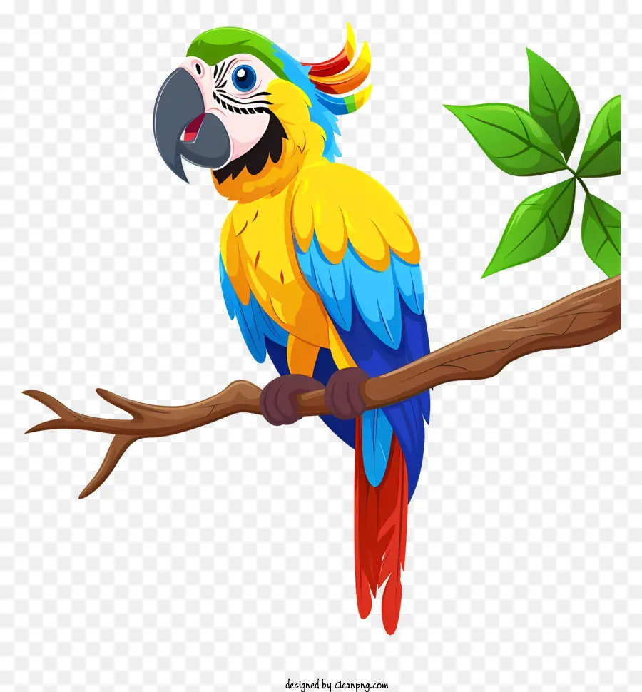 Guacamayo，Loro PNG