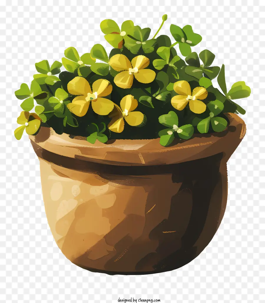 Olla，Planta En Maceta PNG