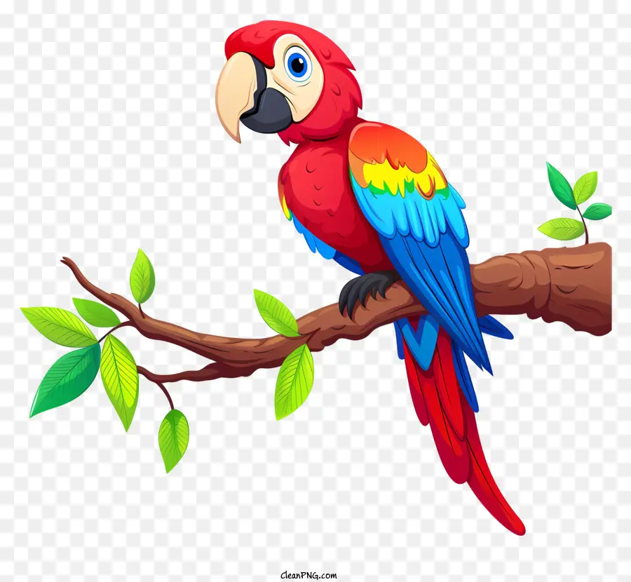 Guacamayo，Loro PNG