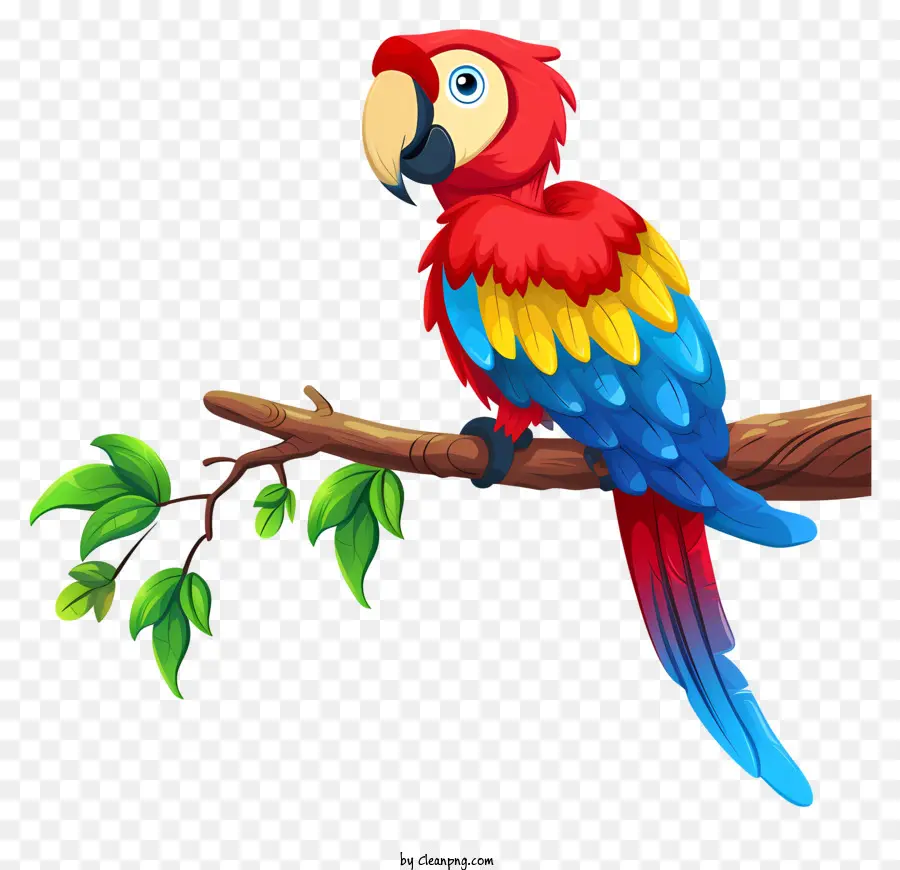 Guacamayo，Loro PNG