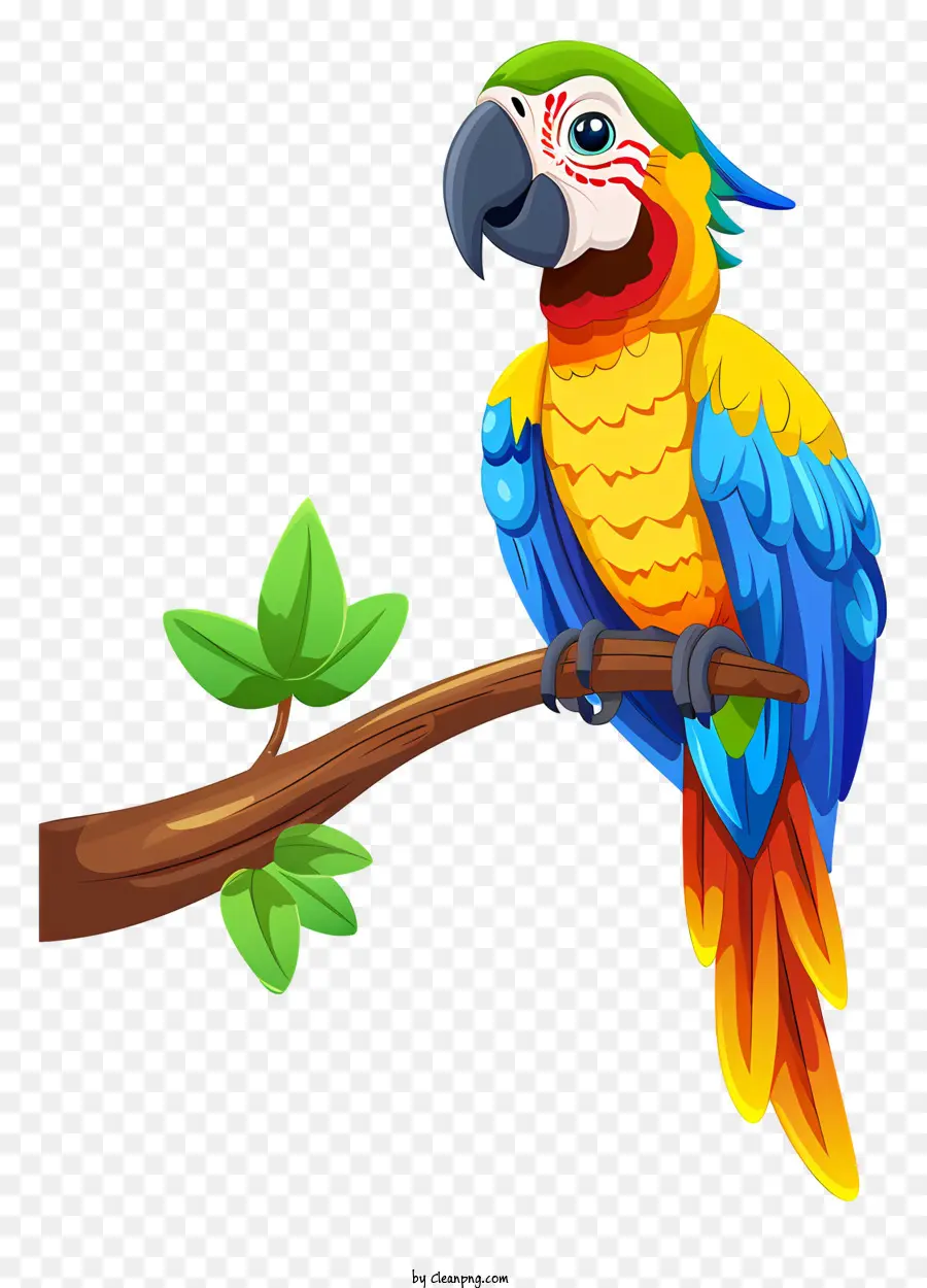 Guacamayo，Loro Colorido PNG