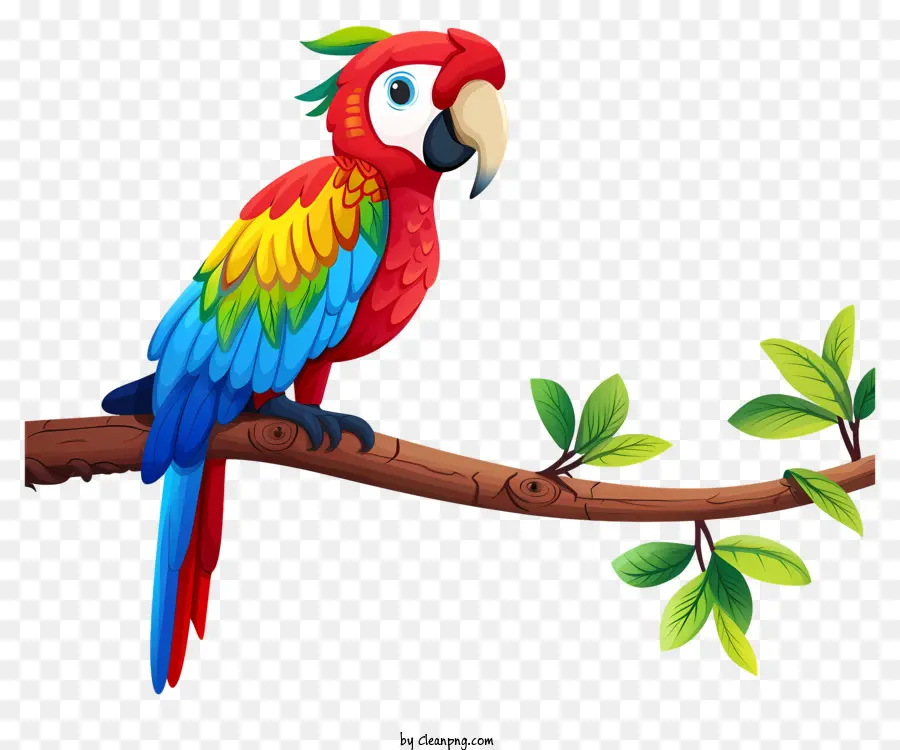 Guacamayo，Loro Colorido PNG