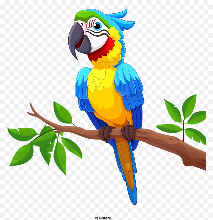 Guacamayo，Loro PNG