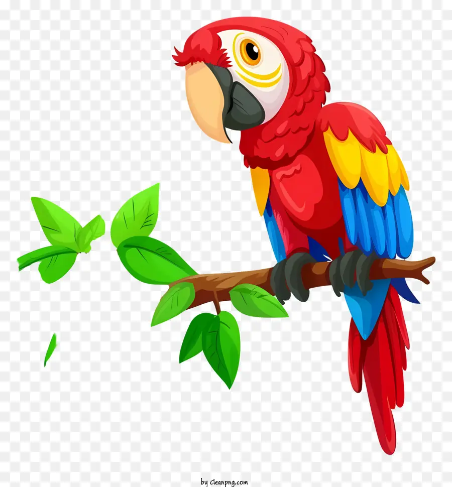 Guacamayo，Loro PNG