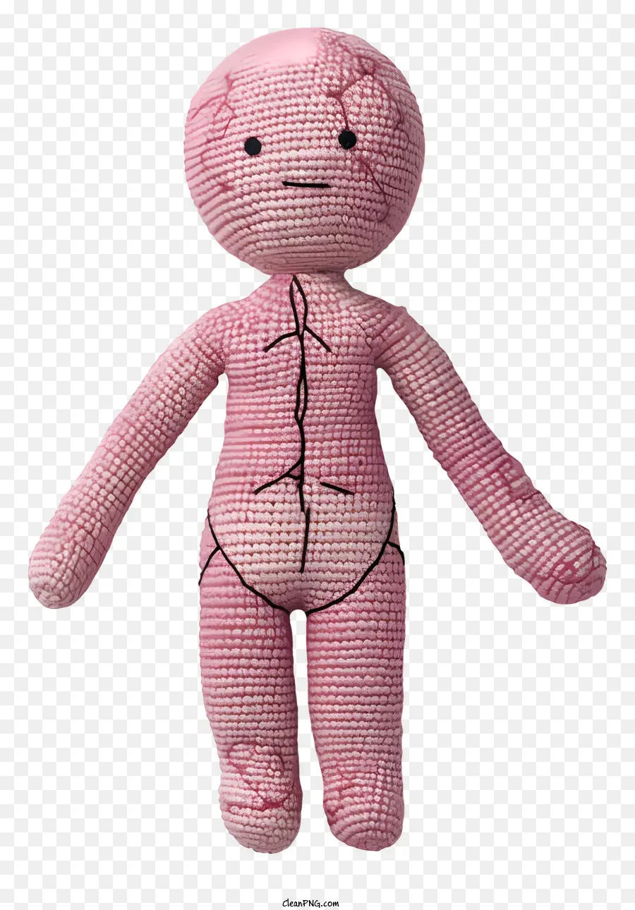 Amigurumi Dol，Juguete Anatómico PNG