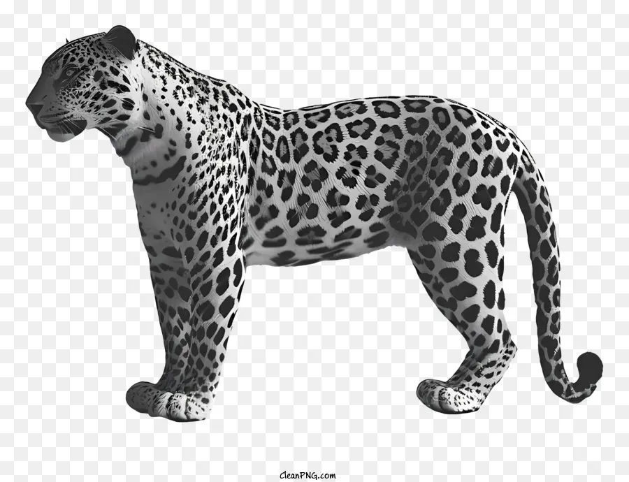 Leopardo，Felino De Gran Tamaño PNG