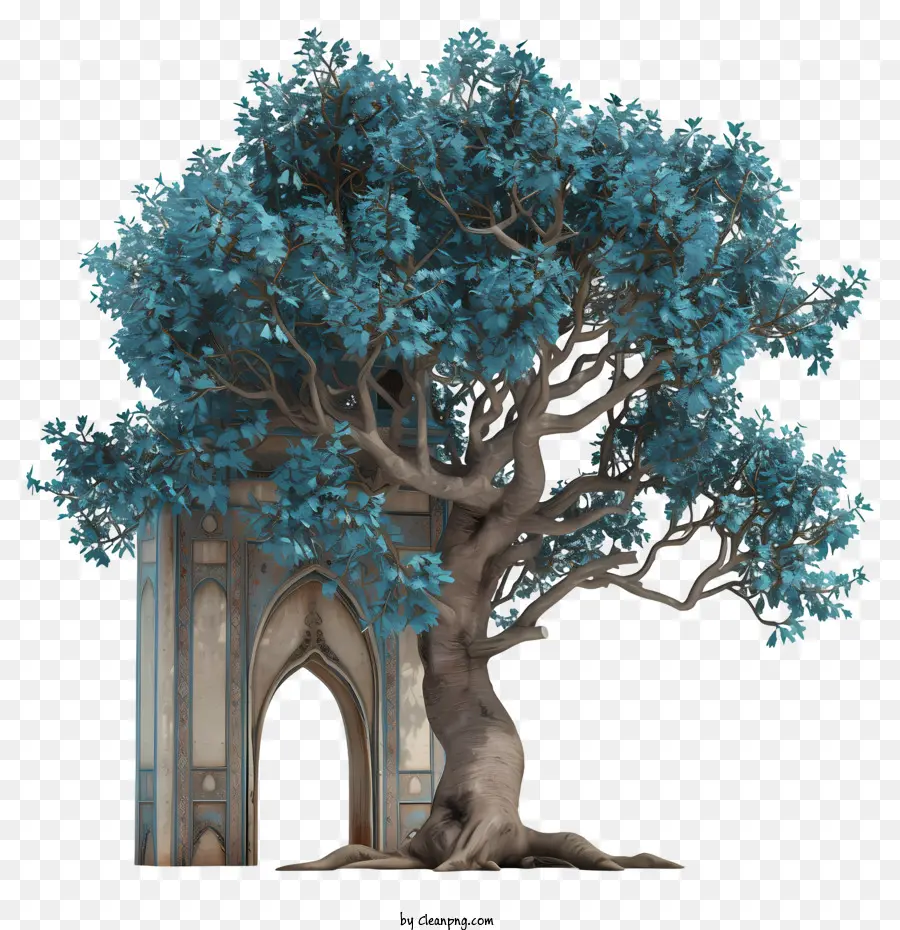 Arquitectura，Árbol PNG