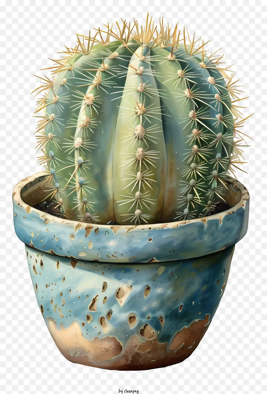 Cactus En Maceta，Planta De Cactus PNG