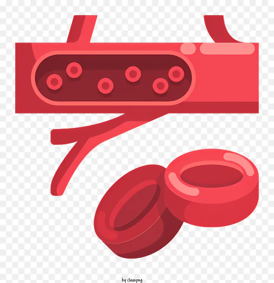 Células De La Sangre，De Los Vasos Sanguíneos PNG