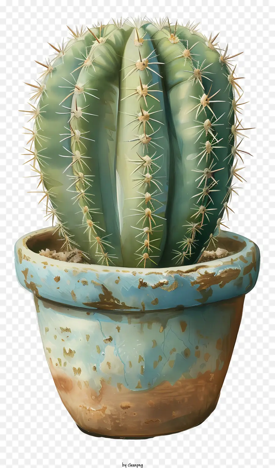 Cactus En Maceta，Cactus PNG