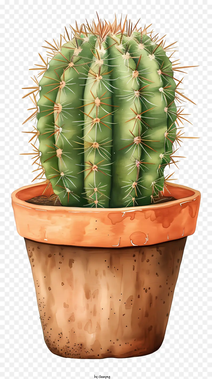 Cactus En Maceta，Planta De Cactus PNG