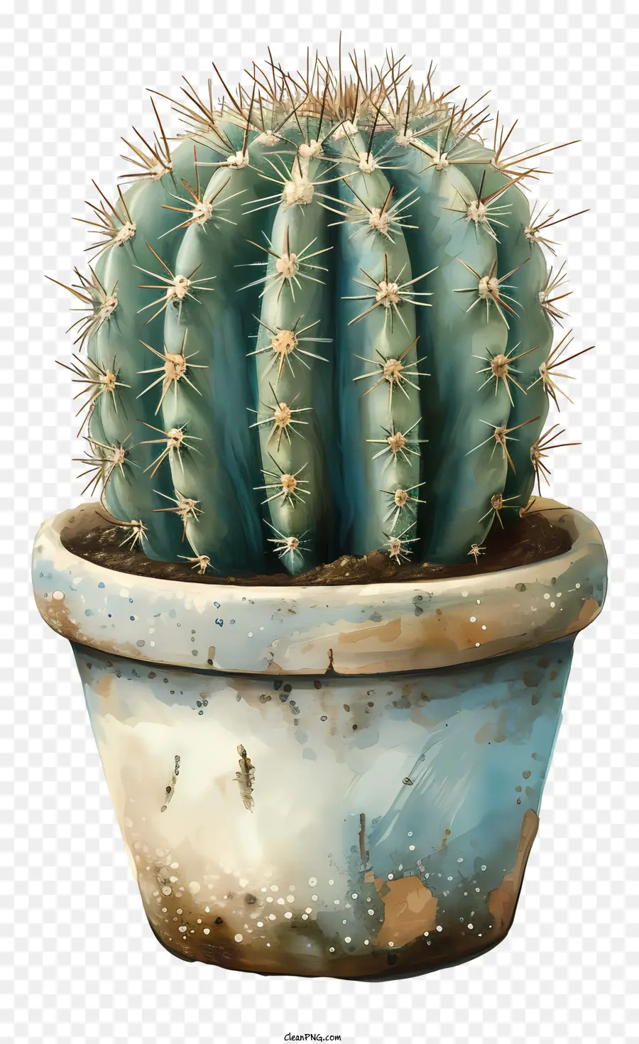 Cactus En Maceta，Cactus PNG