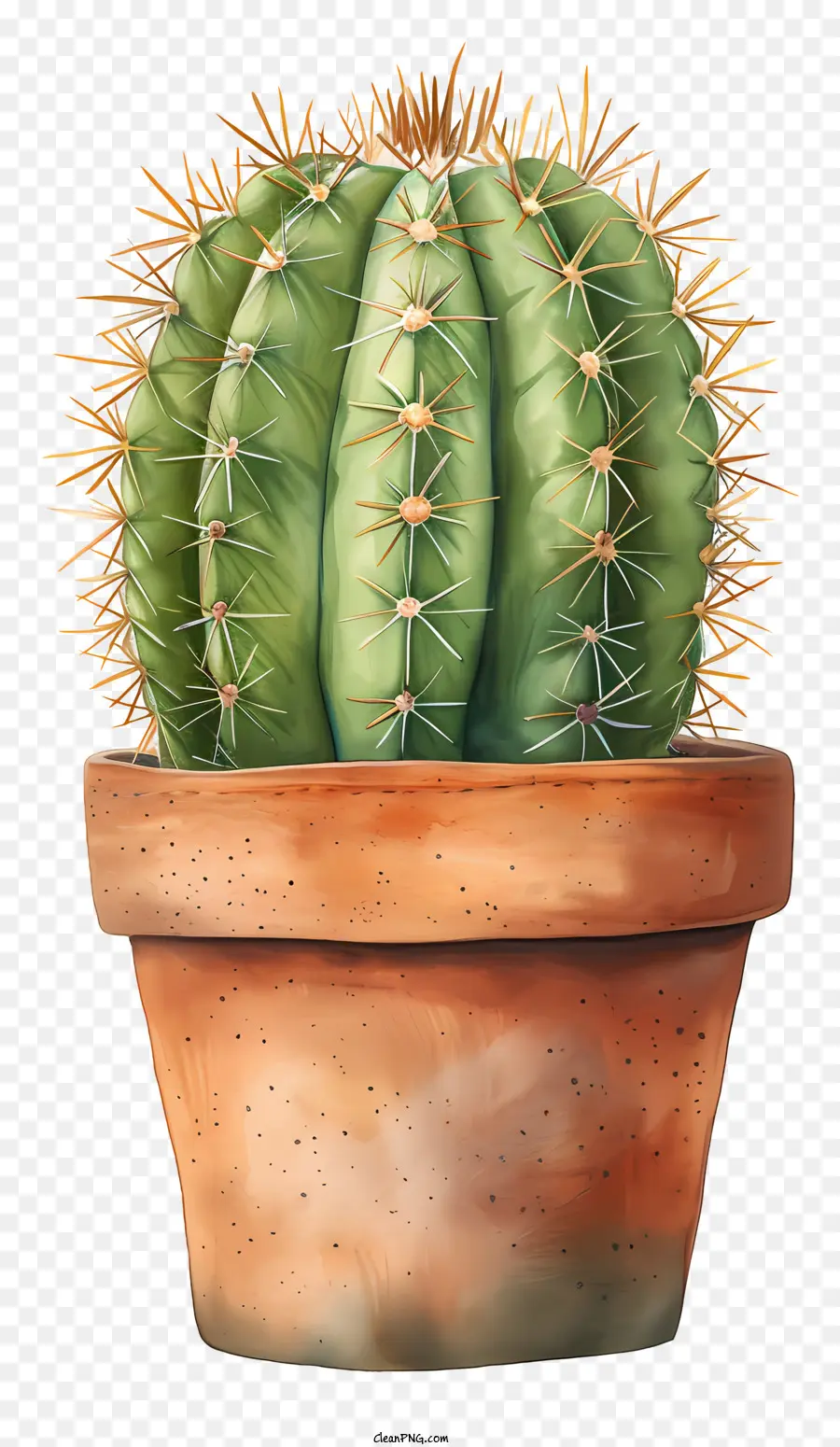 Cactus En Maceta，Cactus PNG