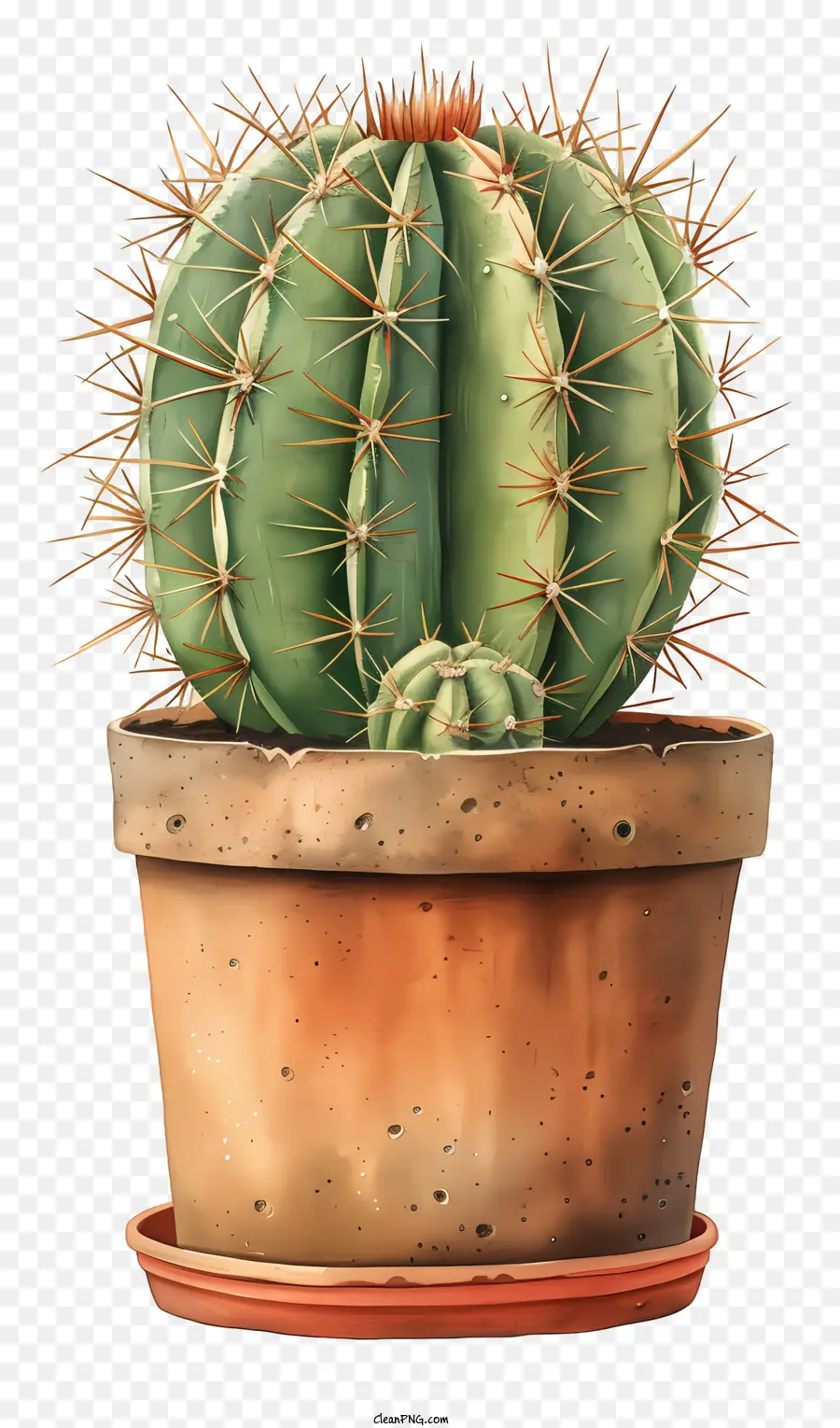 Cactus En Maceta，Planta De Cactus PNG