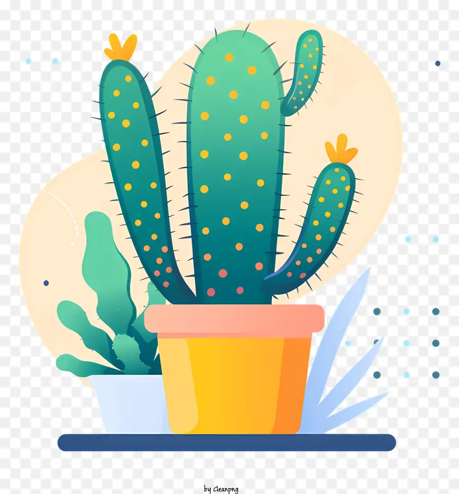 Cactus En Maceta，Planta De Cactus PNG