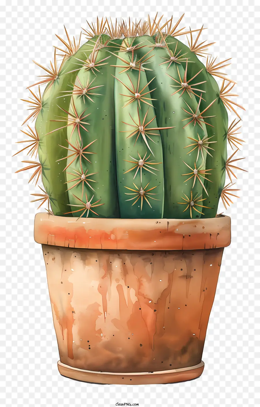 Cactus En Maceta，Pintura PNG