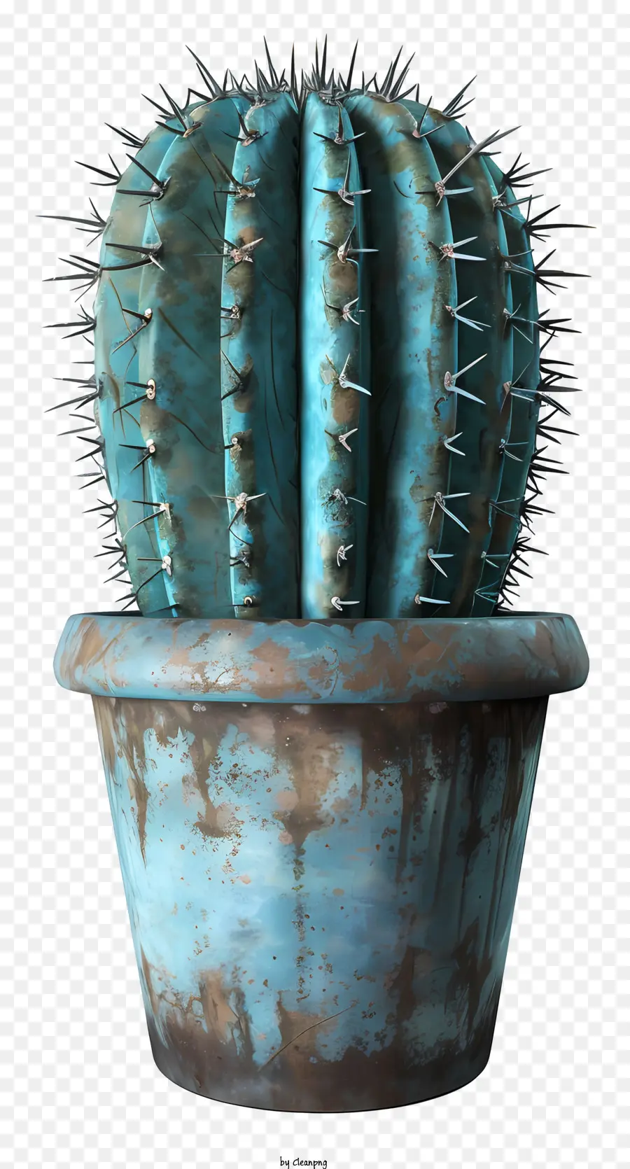 Cactus En Maceta，Cactus PNG