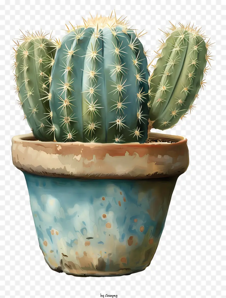 Cactus En Maceta，Bote De Terracota PNG