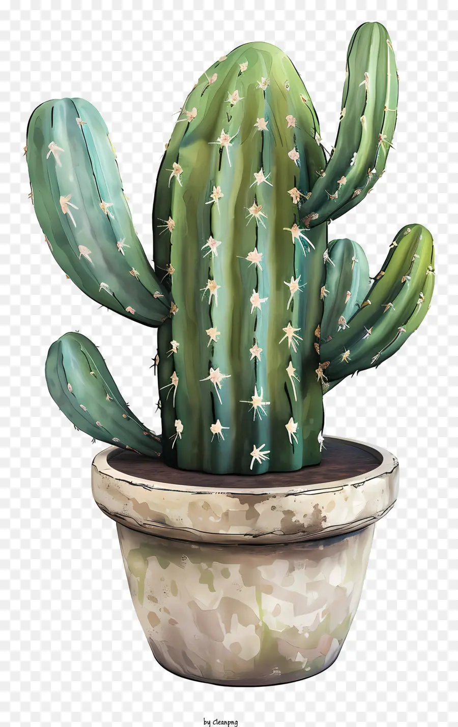 Cactus En Maceta，Verde Cactus PNG