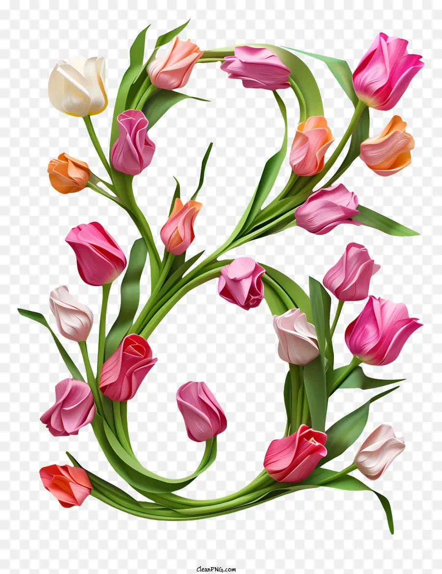 Floral Número Ocho，Tulip Capital PNG