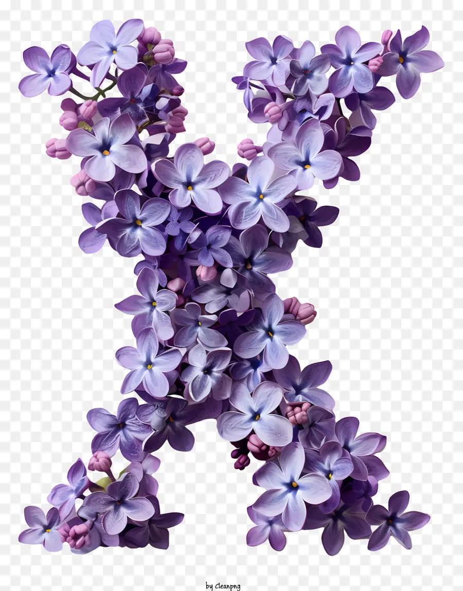 Letra Floral X，Púrpura X PNG